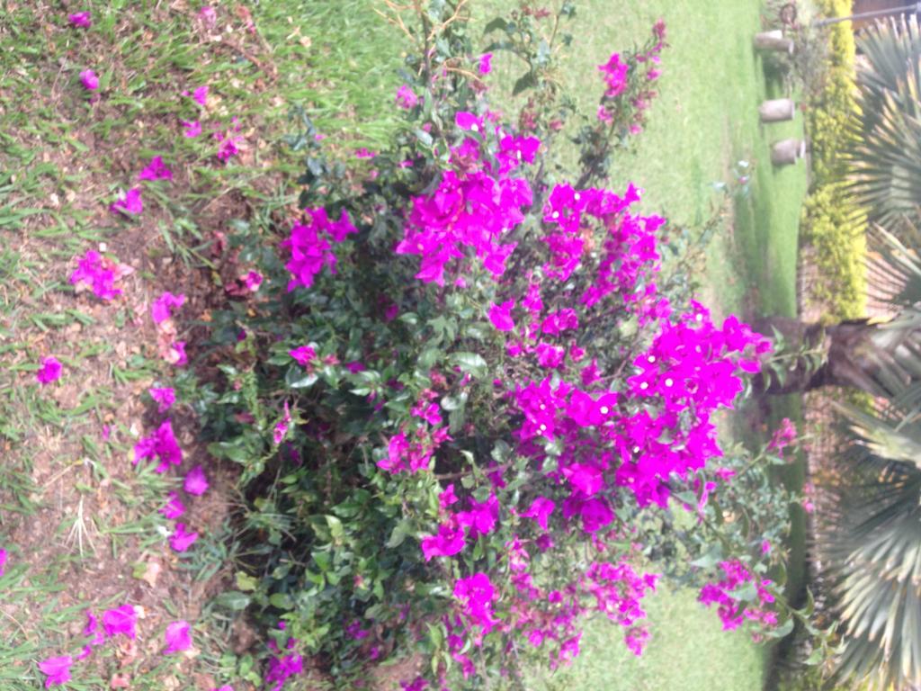 Finca El Diamante Villa กาลาร์กา ภายนอก รูปภาพ